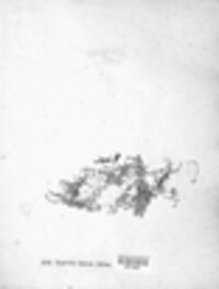 Lepraria incana image